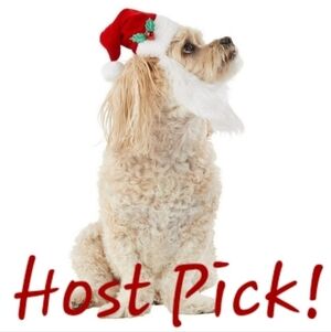 NWT Merry & Bright Pet Santa Hat with Attached Beard Dog Chistmas New